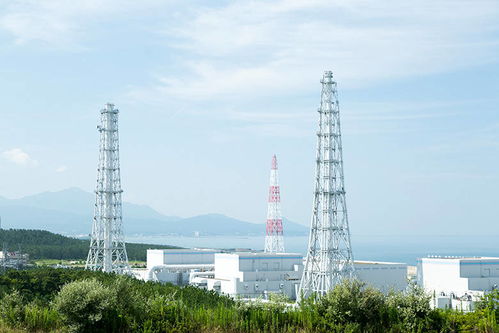 因核物質(zhì)防護(hù)疏漏 日本東電一核電站被禁止運(yùn)轉(zhuǎn)