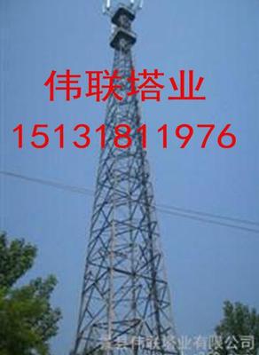 供應(yīng) 避雷塔 防雷塔 電視塔 避雷 針?biāo)D片_高清圖_細(xì)節(jié)圖-景縣偉聯(lián)塔業(yè) -